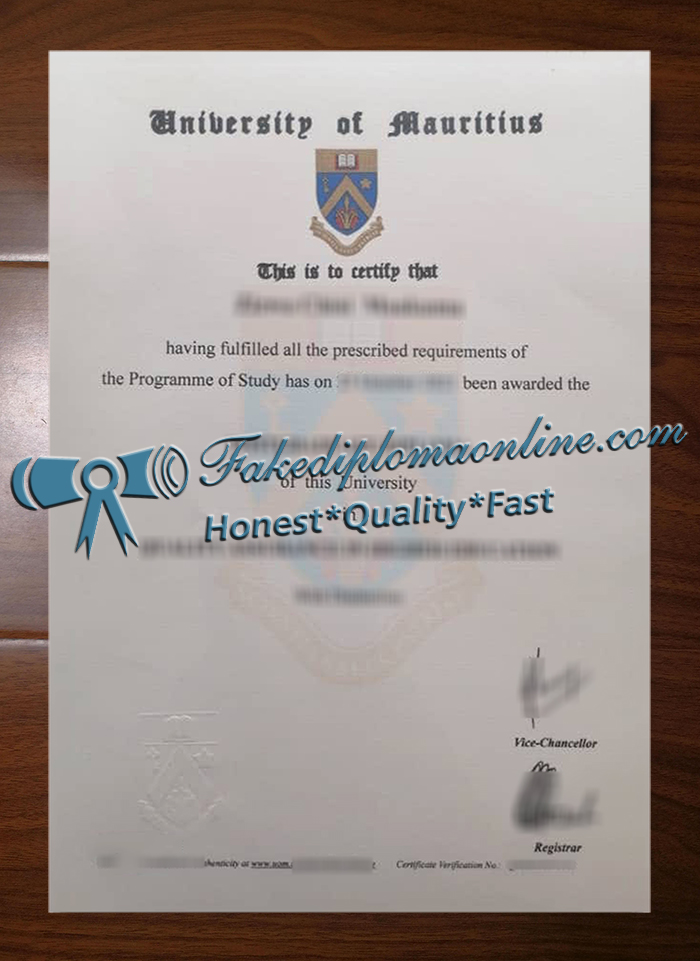 University of Mauritius degree