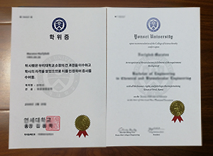 Yonsei University degree