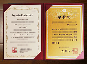 Kyushu University degree