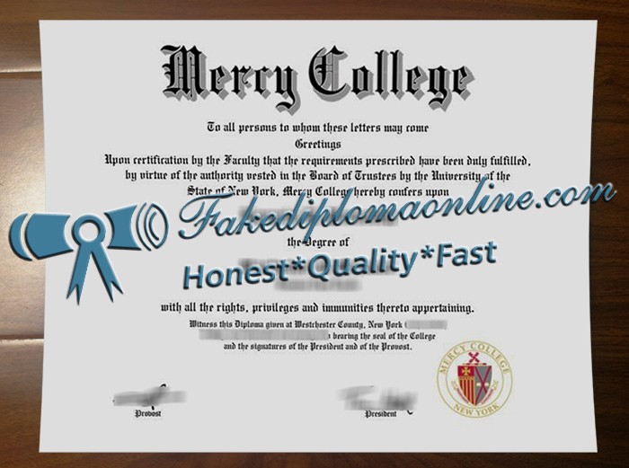 Mercy College degree