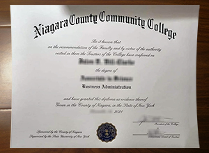 Niagara County Community College diploma