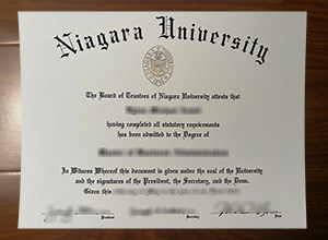 Niagara University degree