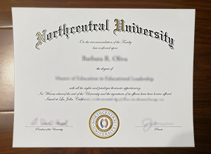 Northcentral University degree