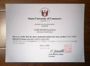 Otaru University of Commerce degree