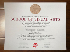 School of Visual Arts degree