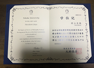 Tohoku University degree