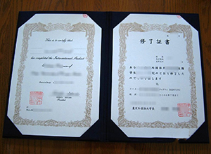 Tokyo University of Foreign Studies degree