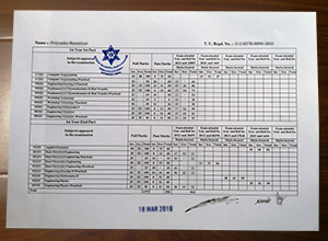 Tribhuvan University transcript