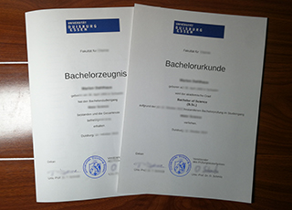 University of Duisburg-Essen degree and Zeugnis