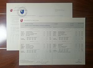 University of Nicosia transcript