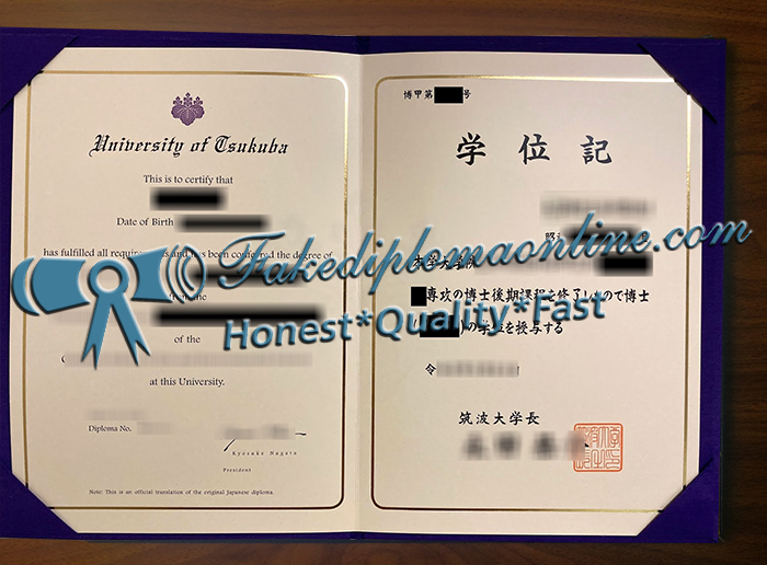 University of Tsukuba diploma