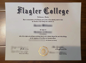 Flagler College degree