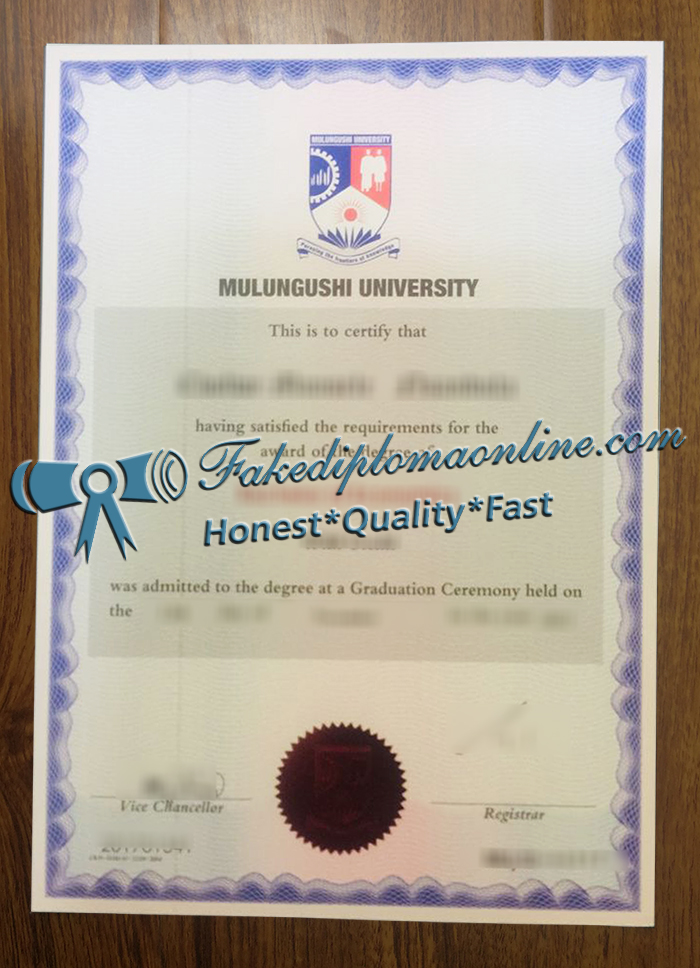 Mulungushi University degree