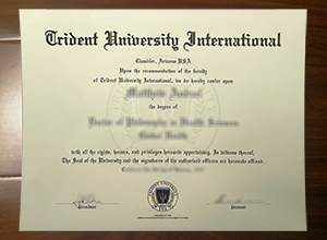 Trident University International degree