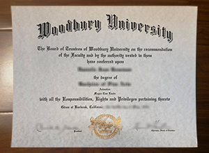 Woodbury University degree