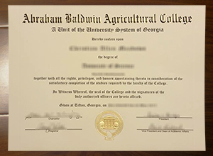 Abraham Baldwin Agricultural College degree