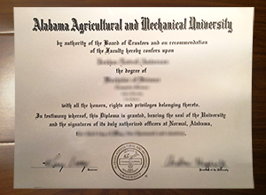 Alabama A&M University degree