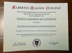 Albertus Magnus College degree