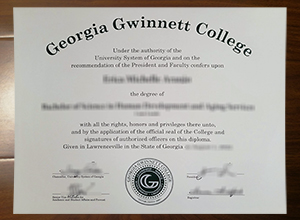 Georgia Gwinnett College degree