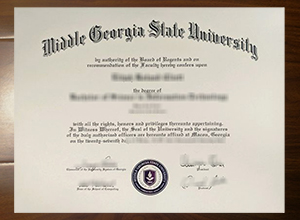 Middle Georgia State University degree