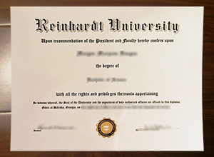 Reinhardt University degree