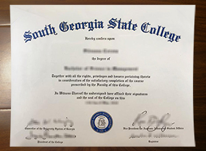 South Georgia State College degree