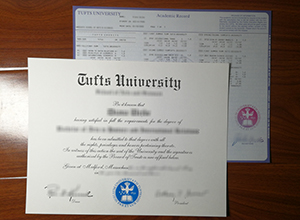 Tufts University degree and transcript