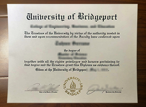 University of Bridgeport degree