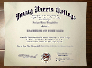 Young Harris College degree