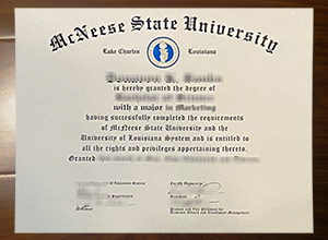 McNeese State University degree