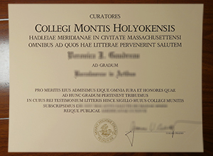 Mount Holyoke College degree