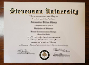 Stevenson University degree