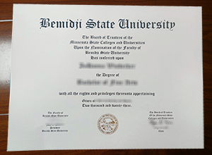 Bemidji State University degree