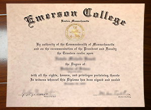 Emerson College degree