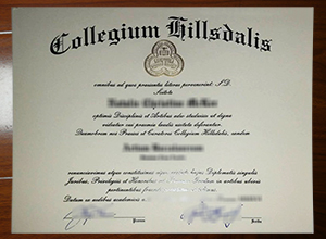 Hillsdale College degree