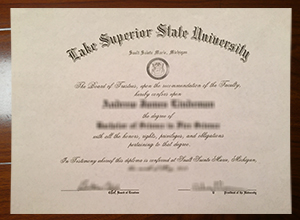 Lake Superior State University degree