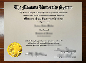 Montana State University Billings degree