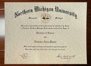 Northern Michigan University degree