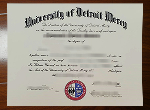 University of Detroit Mercy degree