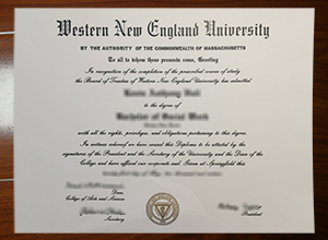 Western New England University degree