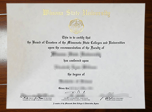 Winona State University degree