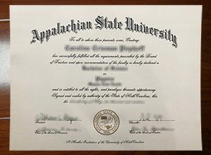 Appalachian State University degree