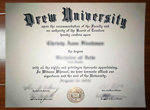 Drew University degree