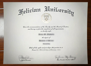 Felician University degree