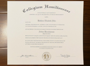 Hamilton College degree