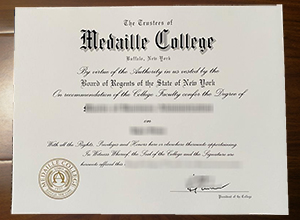 Medaille College degree