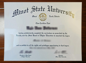 Minot State University degree