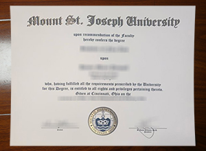 Mount St. Joseph University degree