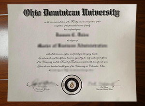 Ohio Dominican University degree