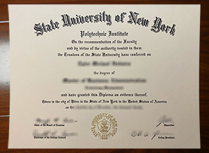 SUNY Polytechnic Institute degree